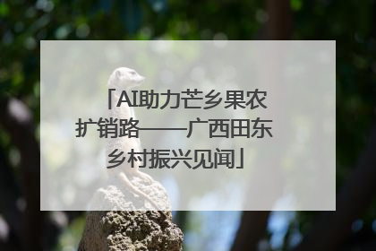 AI助力芒乡果农扩销路——广西田东乡村振兴见闻